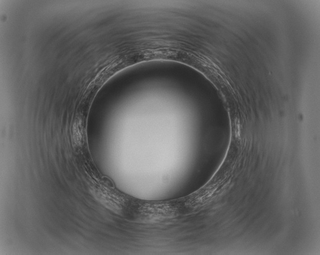 X0000067520915200604101322