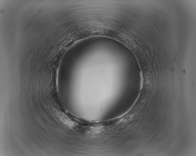 X0000067520916200604101322