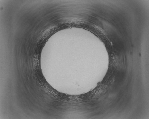 X0000067520918200604101322