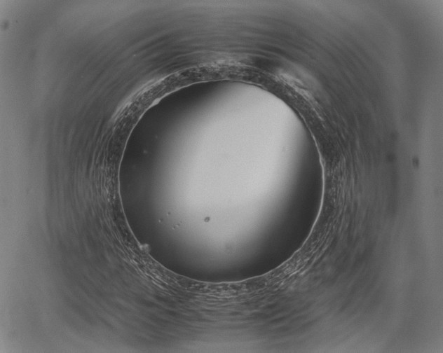 X0000067520919200604101322