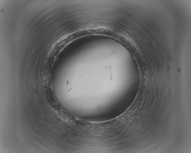 X0000067520920200604101322