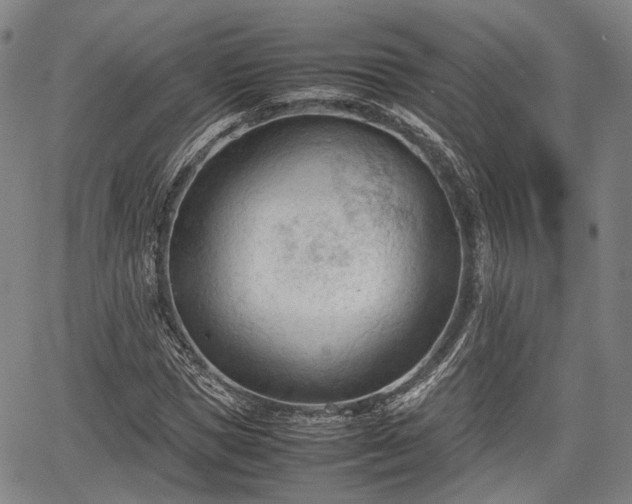 X0000067520921200604101322