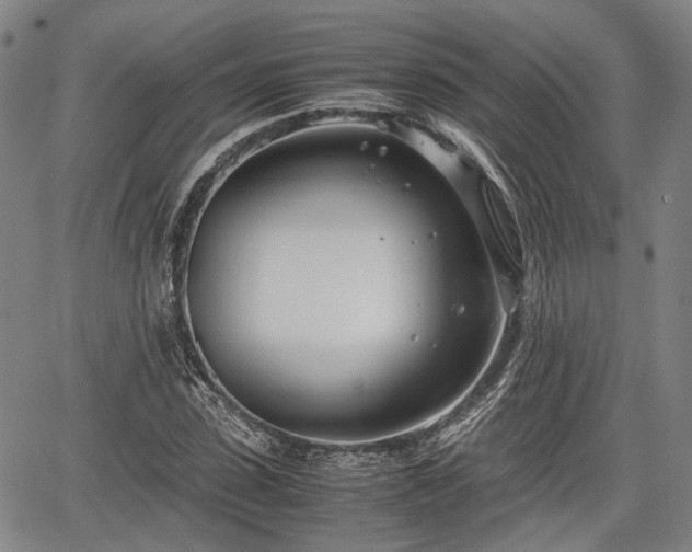 X0000067520923200604101323