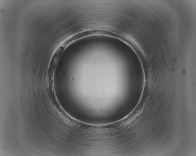 X0000067520924200604101323