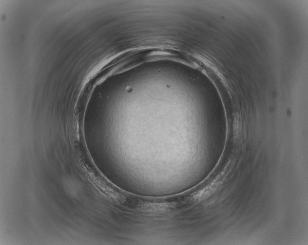 X0000067520925200604101323