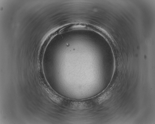 X0000067520927200604101323