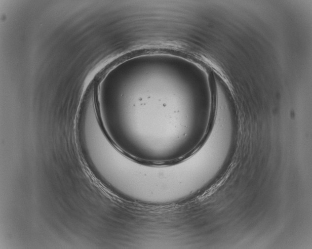 X0000067520928200604101323