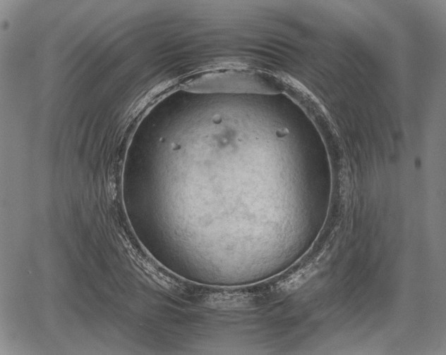 X0000067520929200604101323