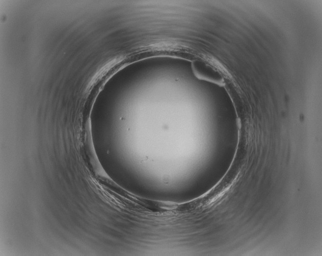 X0000067520930200604101323