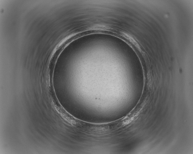 X0000067520931200604101323