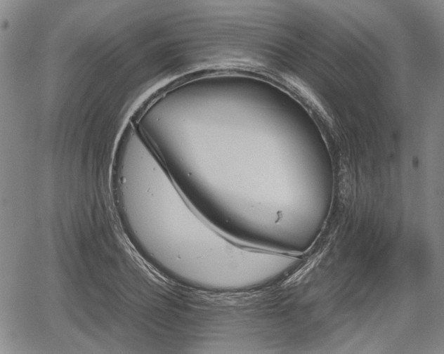 X0000067520932200604101323