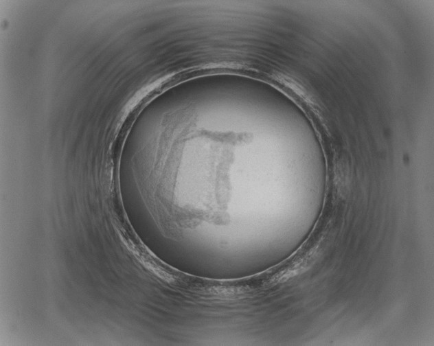 X0000067520933200604101323