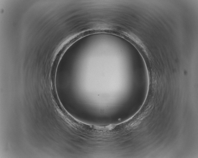 X0000067520935200604101323