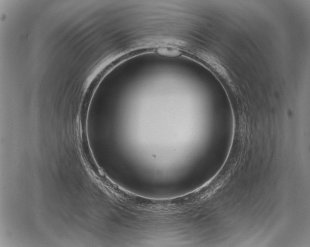 X0000067520936200604101323