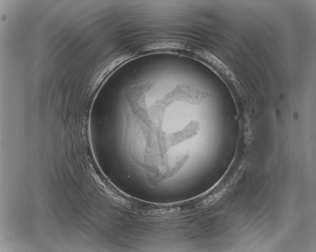 X0000067520937200604101323