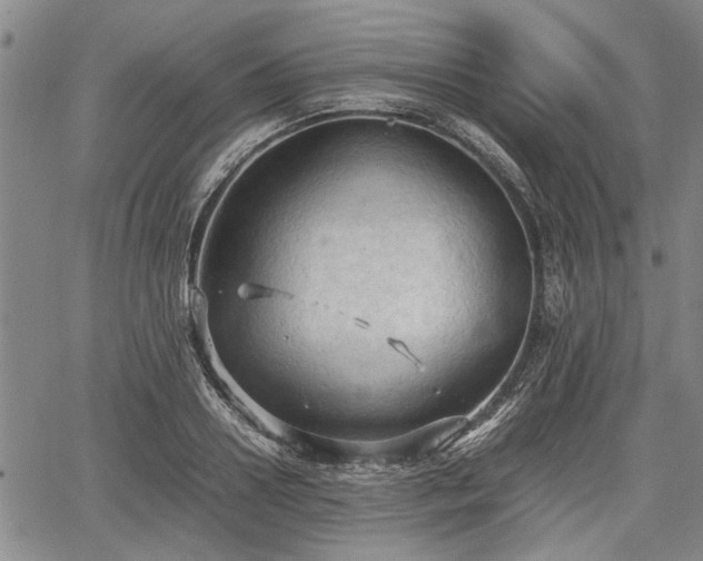 X0000067520938200604101323