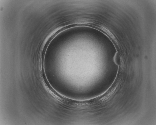 X0000067520939200604101323