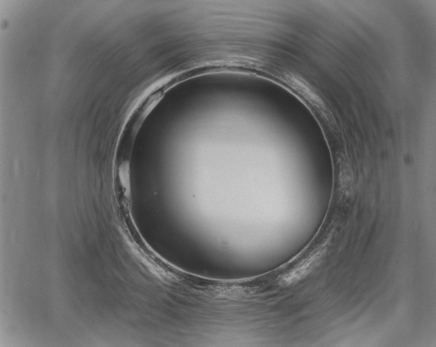 X0000067520940200604101323