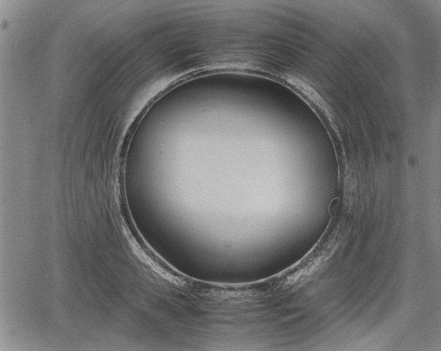 X0000067520941200604101323