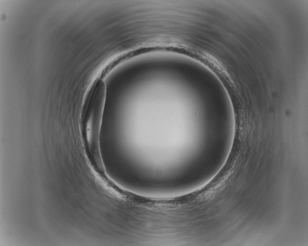 X0000067520942200604101323