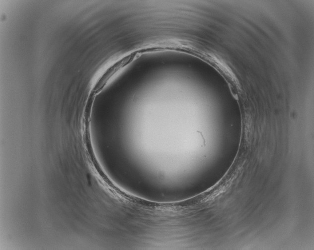 X0000067520944200604101323