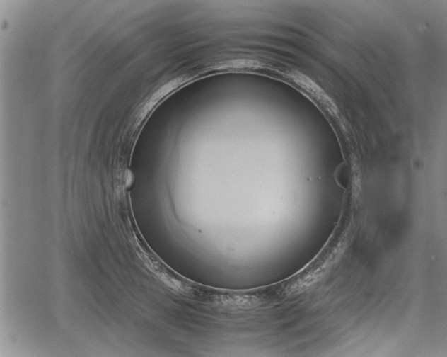 X0000067520945200604101323