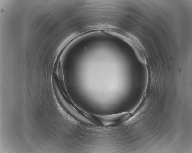 X0000067520946200604101323