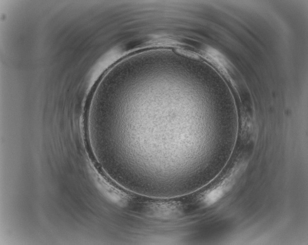 X0000067520947200604101323