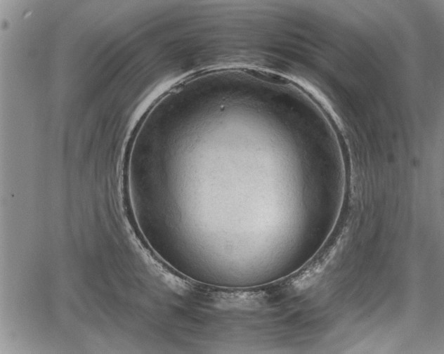 X0000067520949200604101323