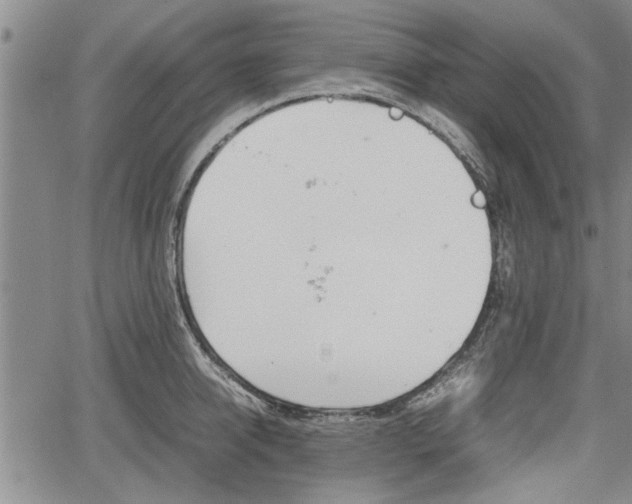 X0000067520950200604101323