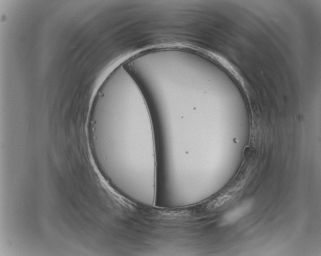 X0000067520951200604101323