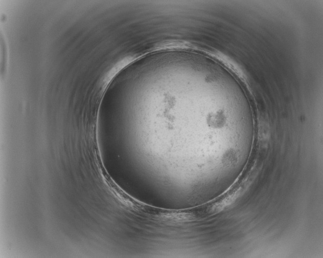 X0000067520953200604101323