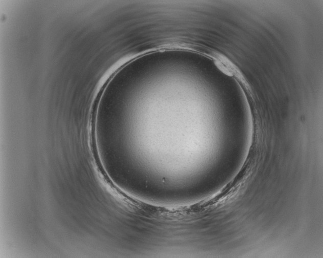 X0000067520955200604101323