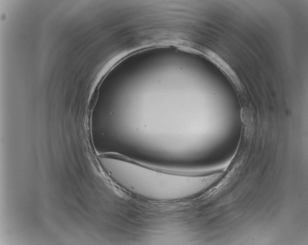 X0000067520956200604101323