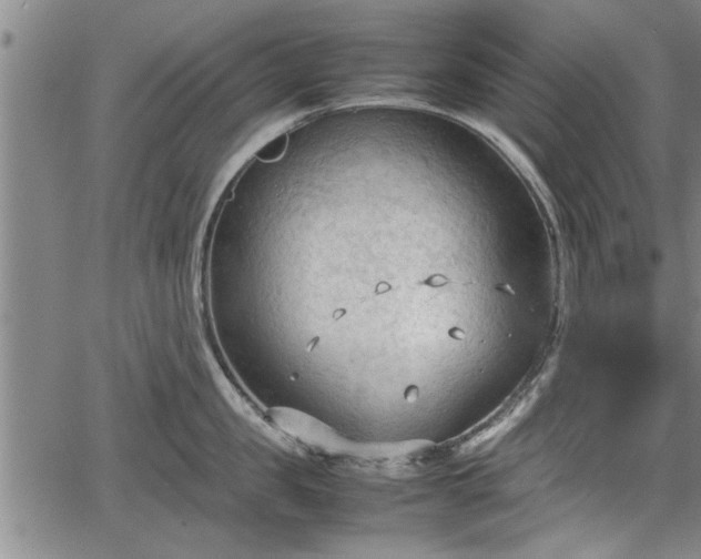 X0000067520957200604101323