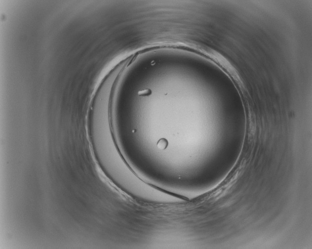 X0000067520958200604101323