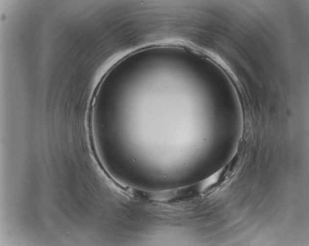 X0000067520959200604101323