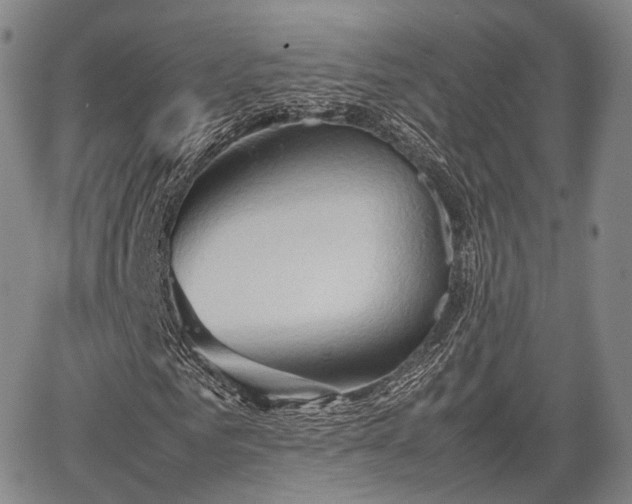 X0000067520961200604101322