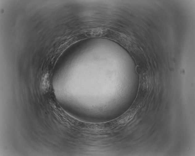 X0000067520962200604101322