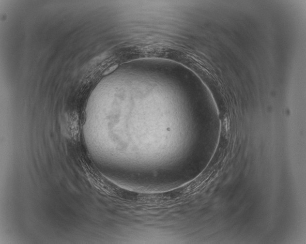 X0000067520963200604101322