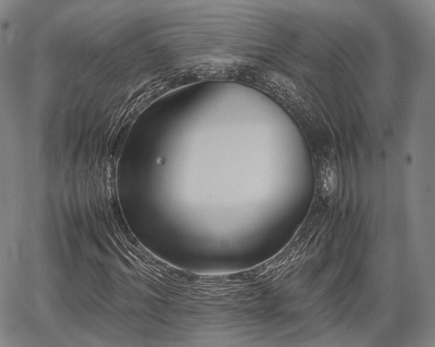 X0000067520964200604101322