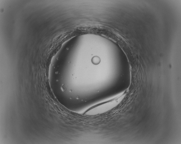 X0000067520965200604101322