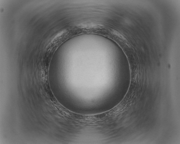 X0000067520966200604101322