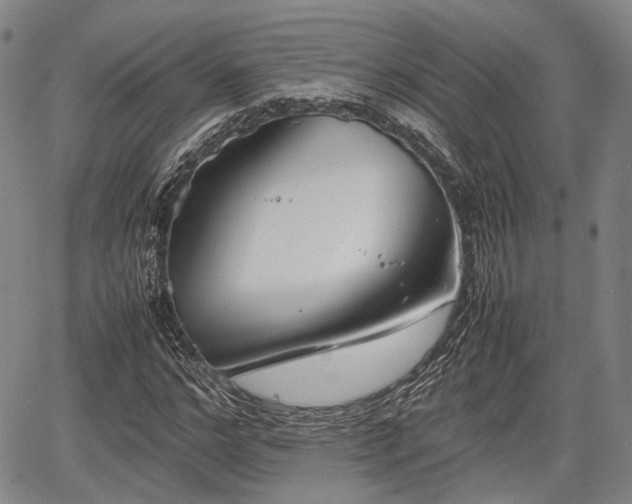 X0000067520968200604101322