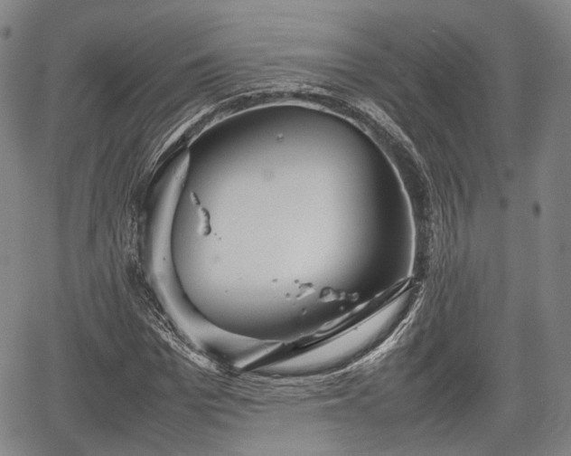 X0000067520969200604101322