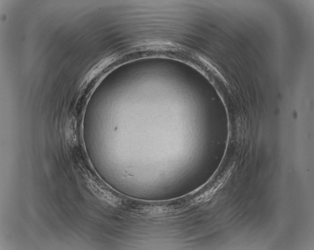 X0000067520970200604101322