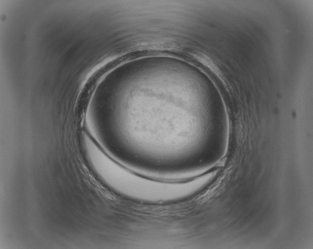 X0000067520971200604101322