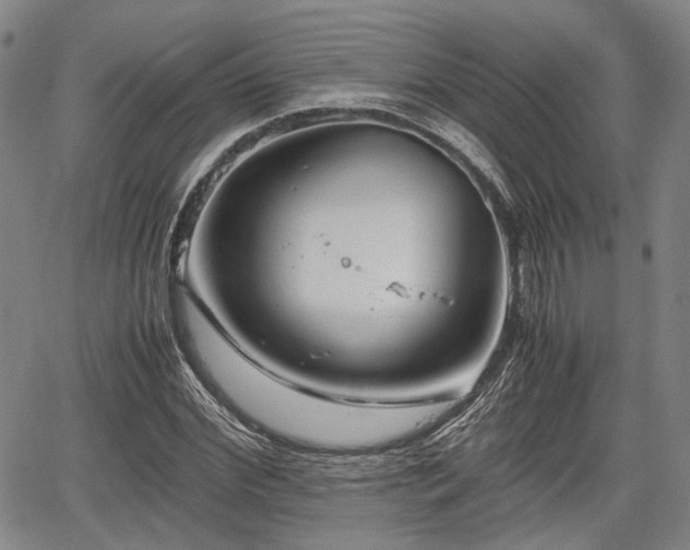 X0000067520972200604101322