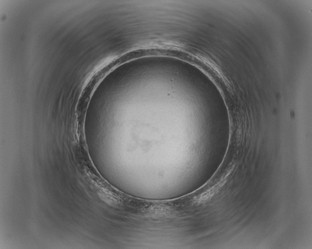 X0000067520974200604101322