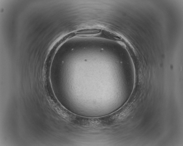 X0000067520975200604101322